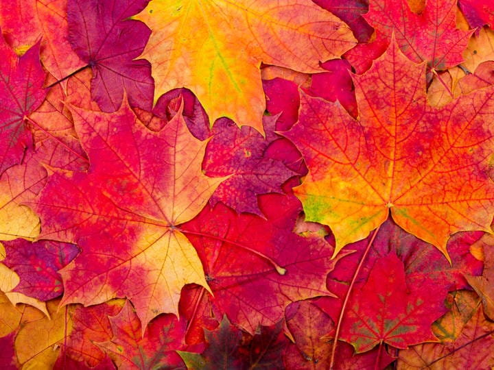 Fall 2025 schedule of The Work